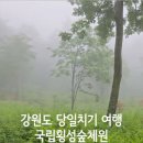 국립횡성숲체원 네이버블로그