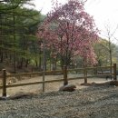 설화산펜션 이미지