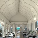 산책하는 고양이 이미지