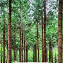 강원애니팜 이미지