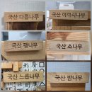 운일암반일암 야영장 | 국립 금산자연휴양림 숲속의집 정이품송 5인실 숙박후기 휴양림 가는 길 안내