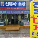＜완도＞ 신복아수산 잔복,대게 각종 해,수산물 이미지