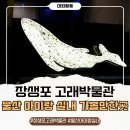 아이랑 반나절을 보낸 울산 장생포 고래박물관 방문후기