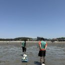 인천광역시중구체육회 노동조합 | 35개월 아기랑 영종도 마시안해변 갯벌체험 첫 후기와 소소한 팁