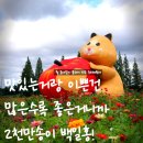 수향원 | 2천만 송이 백일홍과 수향원, 인천 계양 아라온 여행