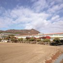 청산초교 병설유치원 이미지