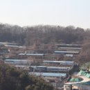 초미동천 이미지