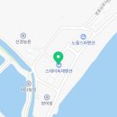 DOG채 애견스테이 이미지