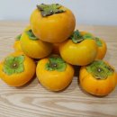 경희몸신한의원 이미지