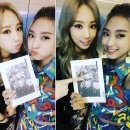보라 이미지
