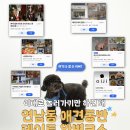 도도애견샵 | 연남동 애견동반 실내 데이트 코스 추천 가볼만한곳 6