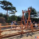 합천초등학교 이미지