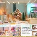 골든스웨터 캐터리 이미지