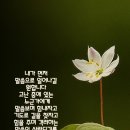 싸가지엔 이미지