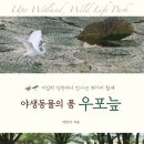 우포의 숲속 | ( 자연 도서 추천 ) 야생동물의 품 우포늪 / 이인식 지음 / 우리 교육 출판