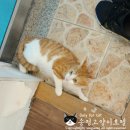 릴리호텔 이미지