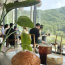 동백8로1 | 용인 동백 산뷰 대형카페 - 카페디 주차 후기