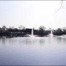 궁남지 서문주차장 이미지