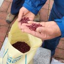 동경주농업협동조합