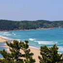 관동카써비스 이미지