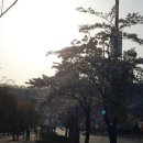 교문2동 행정복지센터 앞 이미지