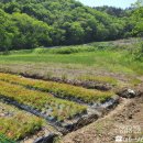 고성탑공인중개사사무소 이미지