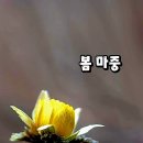 법정스님 명언 이미지