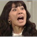 목화수 이미지
