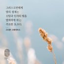 버릴 게 없는 코코넛처럼 이미지