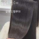 벨루아 이미지