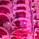 정성한우도축직판장 | 마곡 백년한우직판장 한우 한 돈 정육점 퀄리티 좋아요