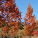 한방생태숲 이미지