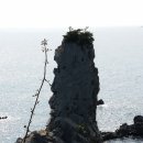 법환동-15 네이버블로그