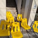 반듯하개 이미지