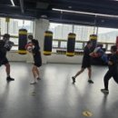 더플러스 복싱 | 옥정복싱학원 펀치플러스 복싱 양주옥정점 후기