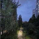 강일타운 | 내집찾아 임장기ep6. 강동구 상일동, 강일동 (고덕리엔파크, 강일리버파크)