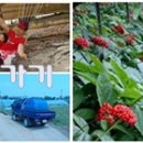 지평선한의원 이미지