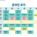홍익요가연구원 - 충주시 계명대로 115 | 홍익요가 온라인 zoom 수업 시작 (내돈내산)
