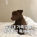 보다스테이 | 부산 애견동반 독채펜션 대가족 모임으로 보다스테이 해운대점