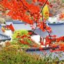 수타사로 이미지