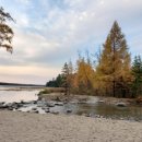 미시시피 이미지