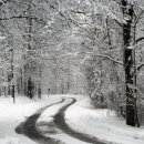 제주도 푸른밤 이미지