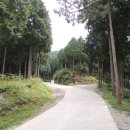 갈모봉산림욕장 이미지