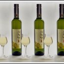 법인국화주