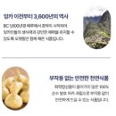 마고 발효마카 60대 친정엄마 갱년기 증상 완화를 위한 천연 식품 선물 후기