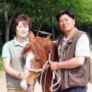 김수옥농장 이미지