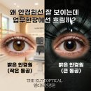 엘리트안경원 이미지