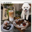 맘씨좋은커피 | 석촌역 애견동반카페 | 제이투제이 (프렌치토스트 브라우니 맛집 후기)