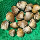 북방마을 이미지