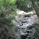 유명산둥지 이미지